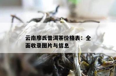 云南廖氏普洱茶价格表：全面收录图片与信息