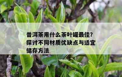 普洱茶用什么茶叶罐更佳？探讨不同材质优缺点与适宜储存方法