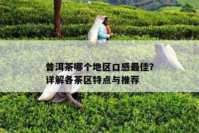 普洱茶哪个地区口感更佳？详解各茶区特点与推荐