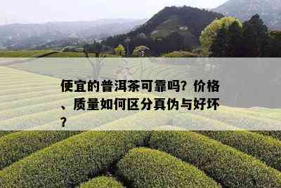 便宜的普洱茶可靠吗？价格、质量如何区分真伪与好坏？