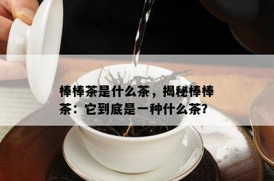 棒棒茶是什么茶，揭秘棒棒茶：它到底是一种什么茶？