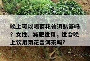 晚上可以喝菊花普洱熟茶吗？女性、减肥适用，适合晚上饮用菊花普洱茶吗？