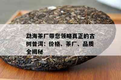 勐海茶厂带您领略真正的古树普洱：价格、茶厂、品质全揭秘