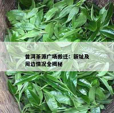 普洱茶源广场搬迁：新址及周边情况全揭秘