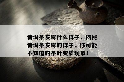 普洱茶发霉什么样子，揭秘普洱茶发霉的样子，你可能不知道的茶叶变质现象！