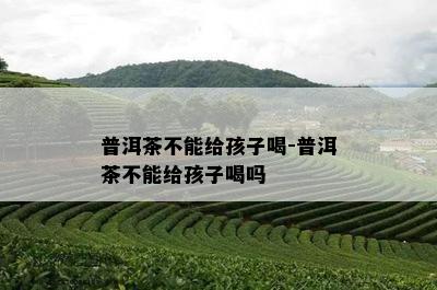 普洱茶不能给孩子喝-普洱茶不能给孩子喝吗