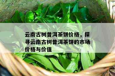 云南古树普洱茶饼价格，探寻云南古树普洱茶饼的市场价格与价值