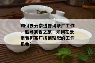 如何去云南进普洱茶厂工作，追寻茶香之旅：如何在云南普洱茶厂找到理想的工作机会？