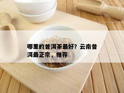 哪里的普洱茶更好？云南普洱最正宗，推荐