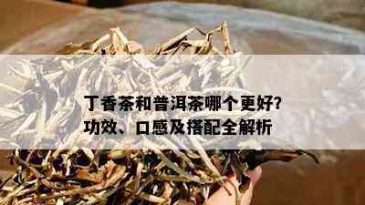 丁香茶和普洱茶哪个更好？功效、口感及搭配全解析