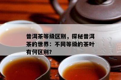 普洱茶等级区别，探秘普洱茶的世界：不同等级的茶叶有何区别？