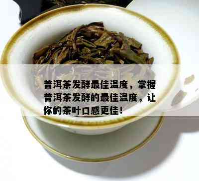 普洱茶发酵更佳温度，掌握普洱茶发酵的更佳温度，让你的茶叶口感更佳！