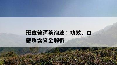 班章普洱茶泡法：功效、口感及含义全解析