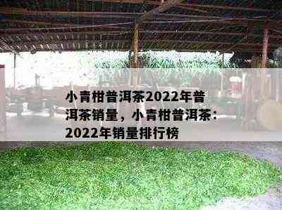 小青柑普洱茶2022年普洱茶销量，小青柑普洱茶：2022年销量排行榜