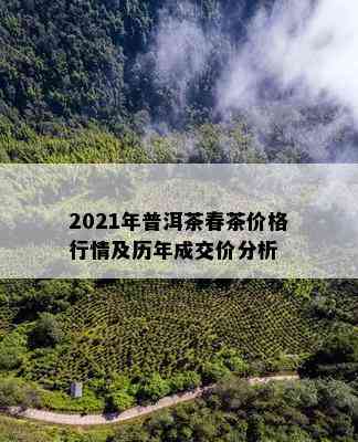 2021年普洱茶春茶价格行情及历年成交价分析