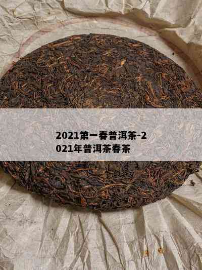 2021之一春普洱茶-2021年普洱茶春茶