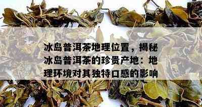 冰岛普洱茶地理位置，揭秘冰岛普洱茶的珍贵产地：地理环境对其独特口感的影响