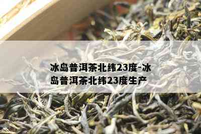 冰岛普洱茶北纬23度-冰岛普洱茶北纬23度生产