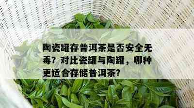 陶瓷罐存普洱茶是否安全无？对比瓷罐与陶罐，哪种更适合存储普洱茶？