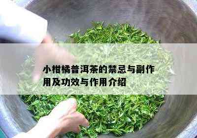 小柑橘普洱茶的禁忌与副作用及功效与作用介绍