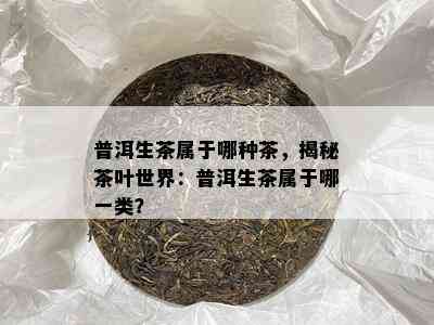 普洱生茶属于哪种茶，揭秘茶叶世界：普洱生茶属于哪一类？