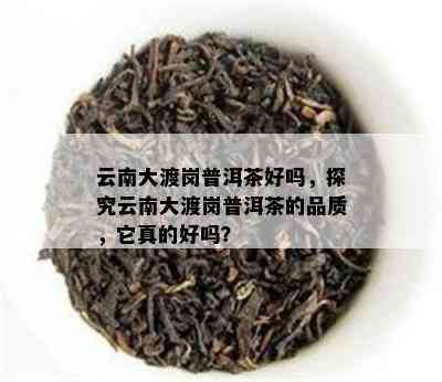 云南大渡岗普洱茶好吗，探究云南大渡岗普洱茶的品质，它真的好吗？