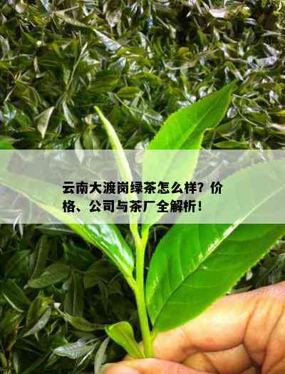 云南大渡岗绿茶怎么样？价格、公司与茶厂全解析！