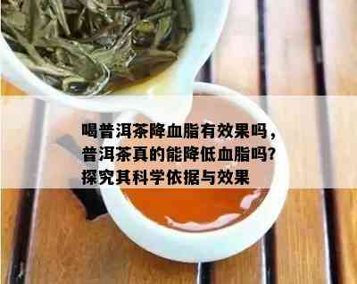 喝普洱茶降血脂有效果吗，普洱茶真的能降低血脂吗？探究其科学依据与效果