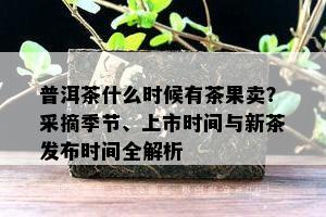 普洱茶什么时候有茶果卖？采摘季节、上市时间与新茶发布时间全解析