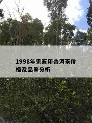 1998年鬼蓝印普洱茶价格及品鉴分析