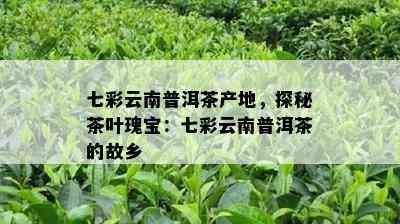 七彩云南普洱茶产地，探秘茶叶瑰宝：七彩云南普洱茶的故乡