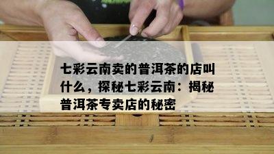 七彩云南卖的普洱茶的店叫什么，探秘七彩云南：揭秘普洱茶专卖店的秘密