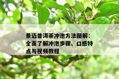 景迈普洱茶冲泡方法图解：全面了解冲泡步骤、口感特点与视频教程