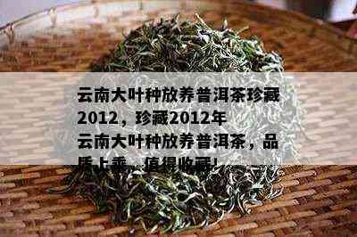 云南大叶种放养普洱茶珍藏2012，珍藏2012年云南大叶种放养普洱茶，品质上乘，值得收藏！