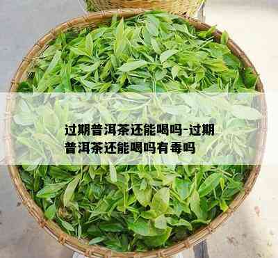 过期普洱茶还能喝吗-过期普洱茶还能喝吗有吗