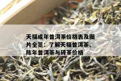 天福成年普洱茶价格表及图片全览：了解天福普洱茶、陈年普洱茶与砖茶价格