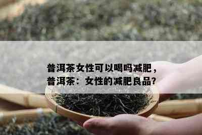 普洱茶女性可以喝吗减肥，普洱茶：女性的减肥良品？