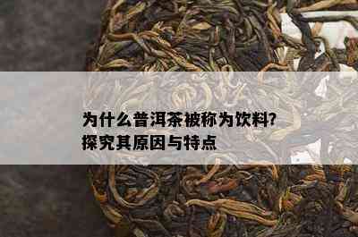 为什么普洱茶被称为饮料？探究其原因与特点