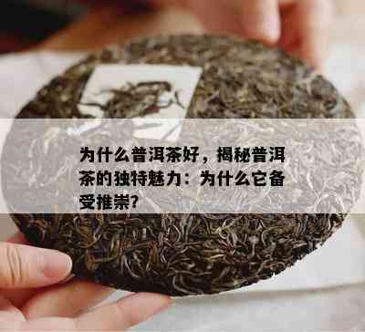 为什么普洱茶好，揭秘普洱茶的独特魅力：为什么它备受推崇？