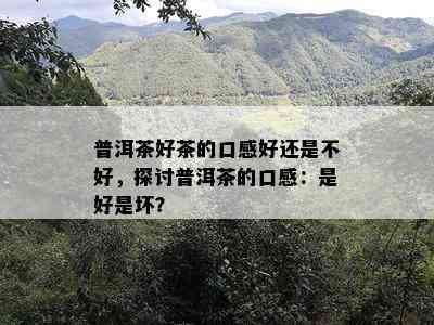 普洱茶好茶的口感好还是不好，探讨普洱茶的口感：是好是坏？