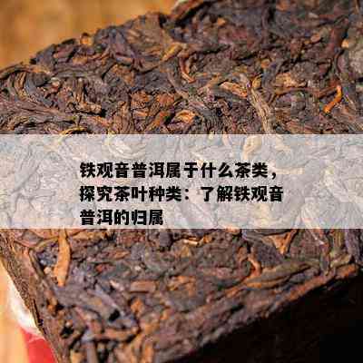 铁观音普洱属于什么茶类，探究茶叶种类：了解铁观音普洱的归属