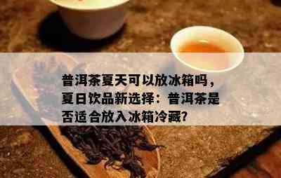 普洱茶夏天可以放冰箱吗，夏日饮品新选择：普洱茶是否适合放入冰箱冷藏？