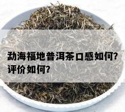 勐海福地普洱茶口感如何？评价如何？