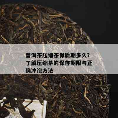 普洱茶压缩茶保质期多久？了解压缩茶的保存期限与正确冲泡方法