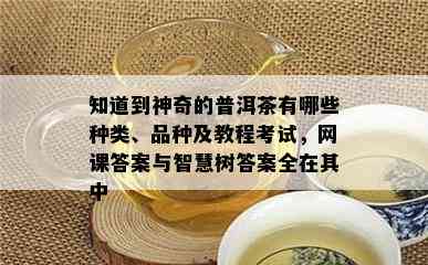 知道到神奇的普洱茶有哪些种类、品种及教程考试，网课答案与智慧树答案全在其中