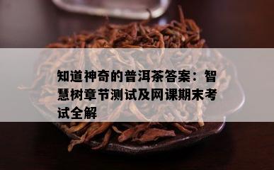 知道神奇的普洱茶答案：智慧树章节测试及网课期末考试全解