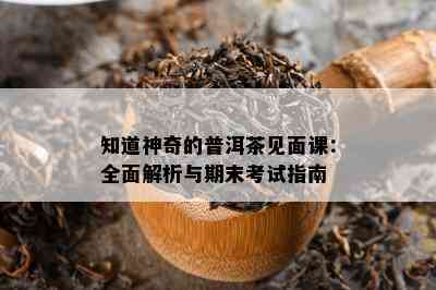 知道神奇的普洱茶见面课：全面解析与期末考试指南