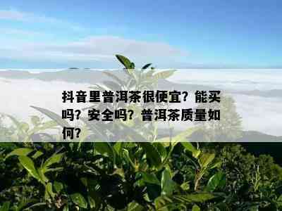 抖音里普洱茶很便宜？能买吗？安全吗？普洱茶质量如何？