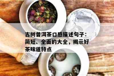 古树普洱茶口感描述句子：简短、全面的大全，揭示好茶味道特点