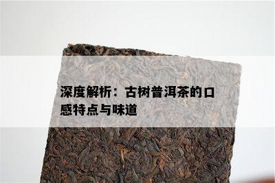 深度解析：古树普洱茶的口感特点与味道